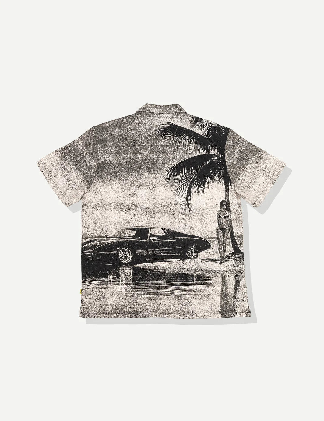 DUVIN BEACH PARKING BUTTONUP