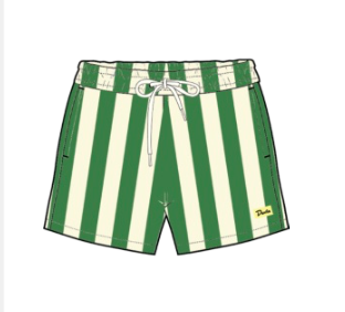 DUVIN TRAVELER SWIM SHORT - GREEN
